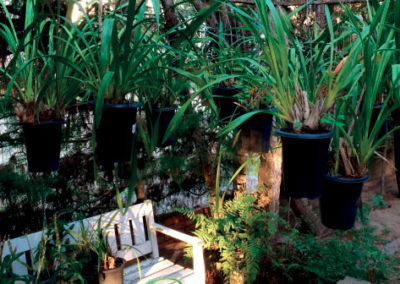 Fotos da Hospedaria San Remo