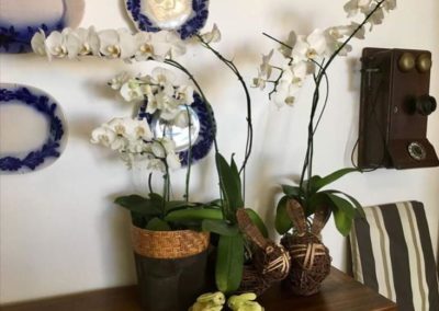 Fotos da Hospedaria San Remo